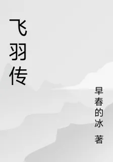 飛羽傳 封面