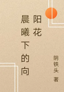晨曦下的向陽花 封面