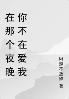 在那個夜晚你不在愛我 封面