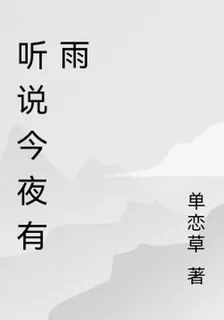 聽說今夜有雨 封面