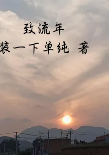 致流年 封面