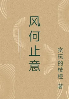 風何止意 封面