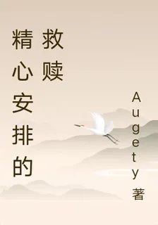 精心安排的救贖 封面