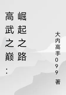 高武之巔：崛起之路 封面