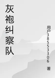 灰袍糾察隊 封面