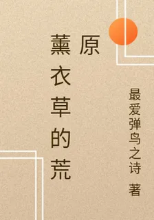 薰衣草的荒原 封面