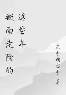 鋌而走險的這些年 封面