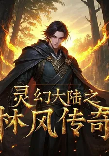 靈幻大陸之林風傳奇人物 封面