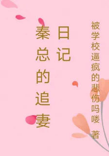 秦總的追妻日記 封面