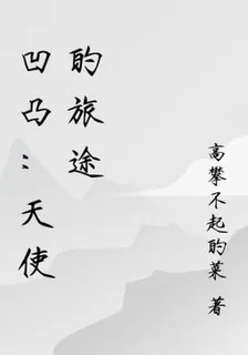 凹凸：天使的旅途 封面