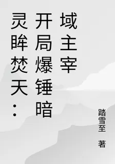 靈眸焚天：開局爆錘暗域主宰 封面