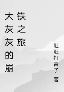 大灰灰的崩鐵之旅 封面