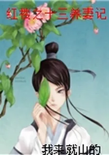 紅樓之十三養妻記 封面