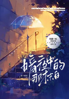暗夜中的那抹白 封面