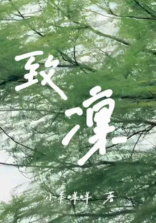 致凜 封面