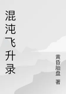 混沌飛昇錄 封面