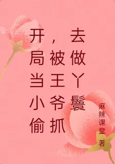 開局當小偷，被王爺抓去做丫鬟 封面
