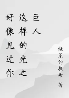 好像見過你這樣的光之巨人 封面