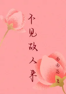 不見故人來 封面