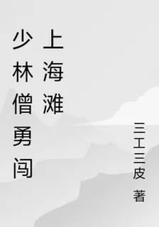 少林僧勇闖上海灘 封面