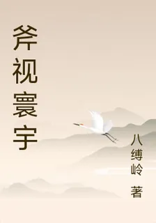 斧視寰宇 封面