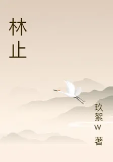 林止 封面