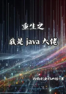 重生之我是java大佬 封面