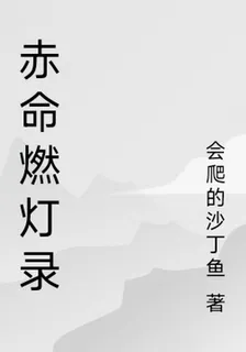 赤命燃燈錄 封面