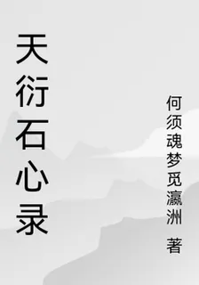 天衍石心錄 封面