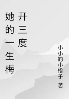 她的一生梅開三度 封面