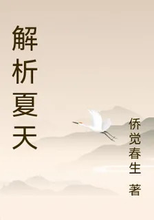 解析夏天 封面