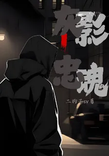灰影忠魂 封面