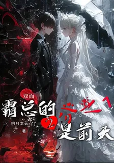 雙面，霸總的2分之1是前夫 封面