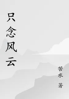只念風雲 封面