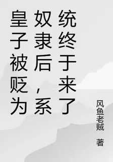 皇子被貶爲奴隸後，系統終於來了 封面