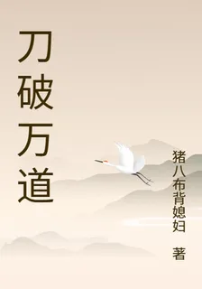 刀破九霄 封面