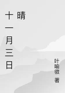 十一月三日晴 封面