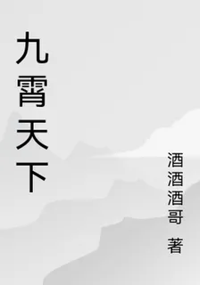 九霄天下 封面