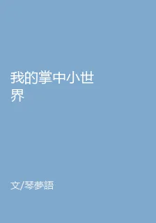 我的掌中小世界 封面