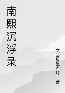 南熙沉浮錄 封面