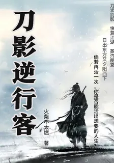 刀影逆行客 封面