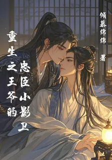 重生之王爺的忠臣小影衛 封面