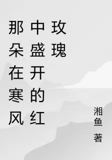 那朵在寒風中盛開的紅玫瑰 封面