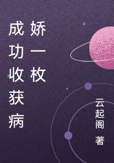 成功收穫病嬌一枚 封面