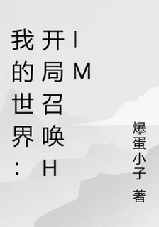 我的世界：開局召喚him 封面