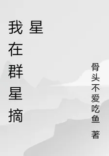 我在羣星摘星 封面