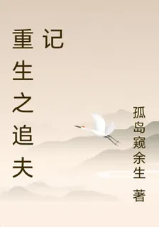 重生之追夫記 封面