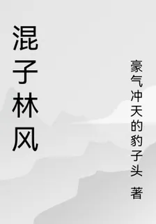 混子林風 封面
