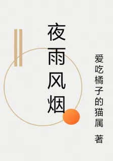 夜雨風煙 封面