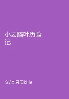 小云腦葉歷險記 封面